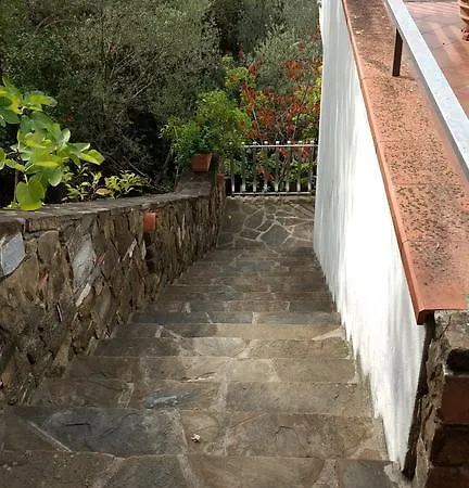 Bella Vista *